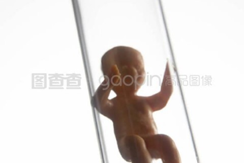 http://beijing.vdtfzz.com/post/197.html|北京试管助孕